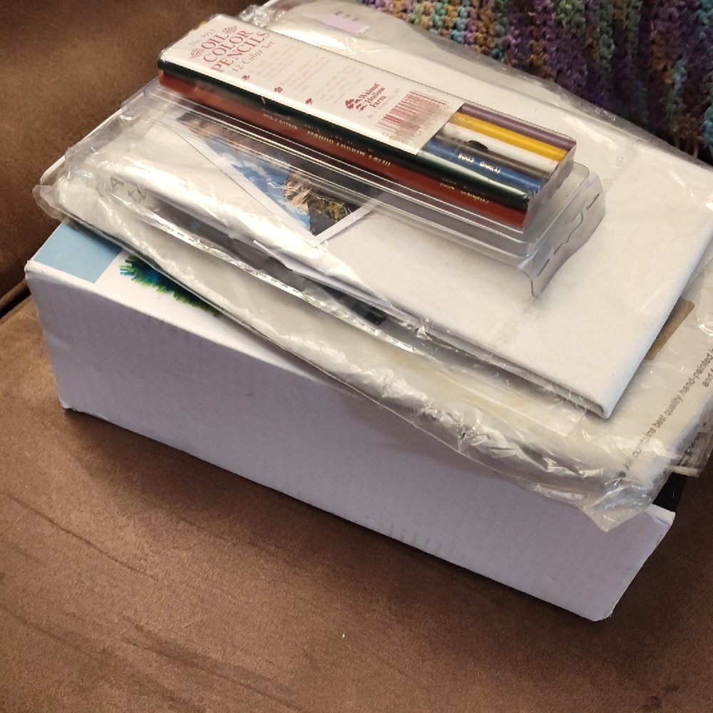 12CBS- Lot Arts & Crafts Set Canvas, Colored Pencils, Long Stitch, Latch Hook